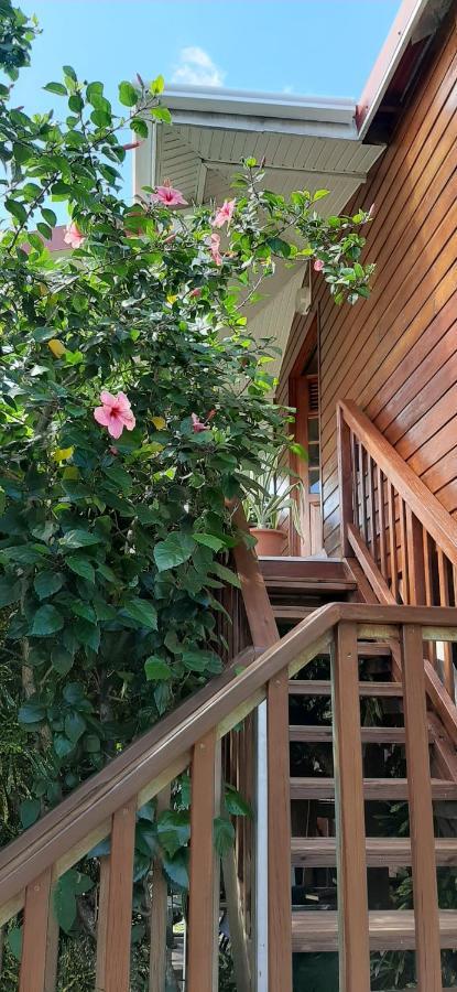 Bungalow Mangifera Proche De La Plage Ле-Диаман Экстерьер фото